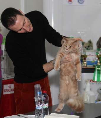 �������� ����� '������� ���-�����' 30 ������-1 ������� 2013., ������������ ��� 2230